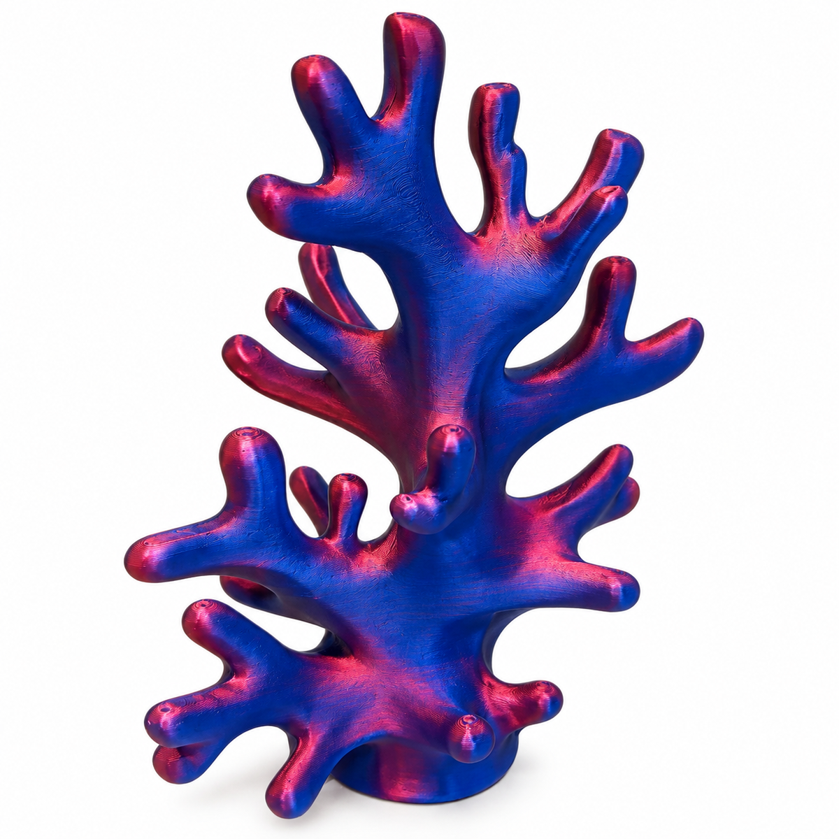 Coral Reef Jewelry Holder