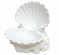 Seashell Trinket Dish