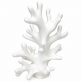 Coral Reef Jewelry Holder