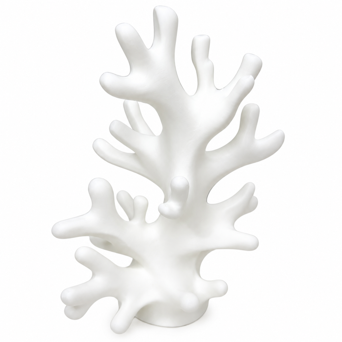 Coral Reef Jewelry Holder