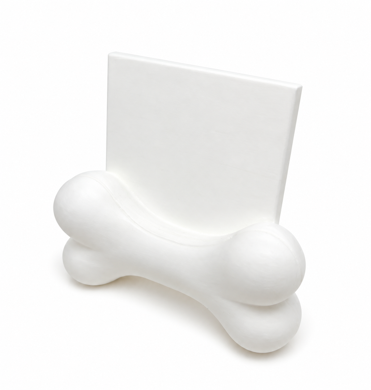 Dog Bone Picture Holder